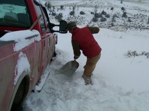 IMG00079-20110220-1759