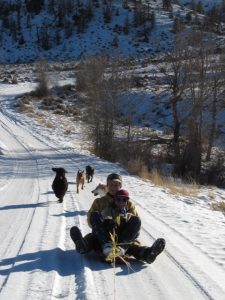 Car Sledding