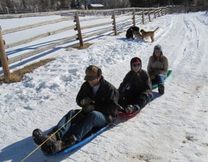 Trio of Sleds