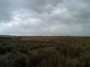 IMG00336-20110322-1115