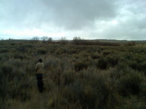 IMG00337-20110322-1115