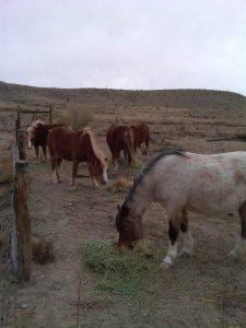 IMG00362-20110322-1138