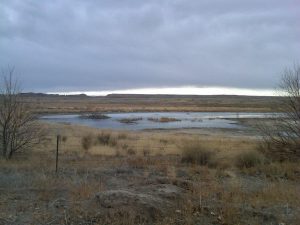 IMG00363-20110322-1147