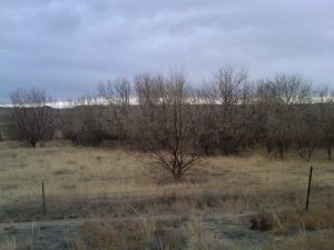 IMG00364-20110322-1148