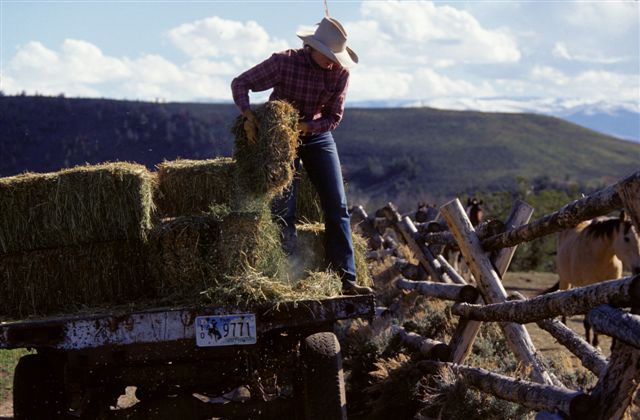 Live and work in the fun environment of a dude ranch in Wyoming. |  Bitterroot Ranch