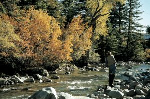 Bayard fishing the ranch water during the fall.