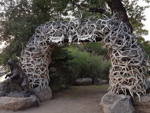 Jackson Hole Antler Arch