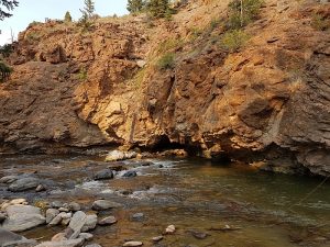 East Fork on the Ranch.