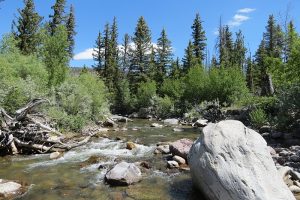 East Fork of the Wind River