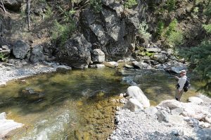East Fork on the Ranch.