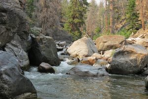 East Fork on the Ranch.
