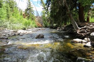 The East Fork flowing through the ranch.