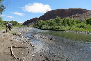 The lower East Fork