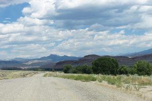 The Road to the Ranch