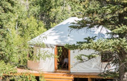 Yoga "in session" in the ranch Yoga Yurt