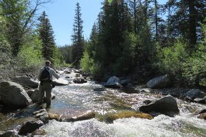Fishing the East Fork on the ranch.