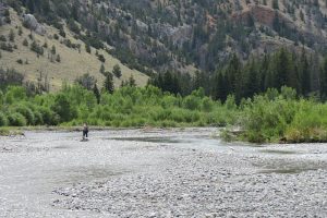 The Wiggins Fork